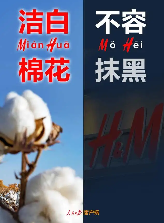 潔白棉花，不容抹黑，花榮華與華一起